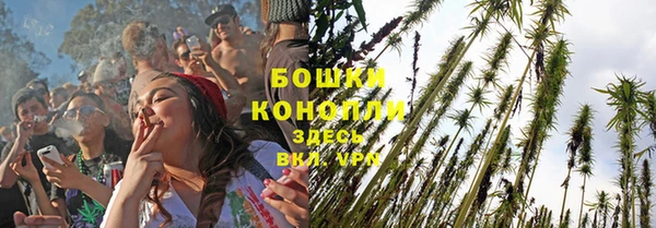трава Алзамай