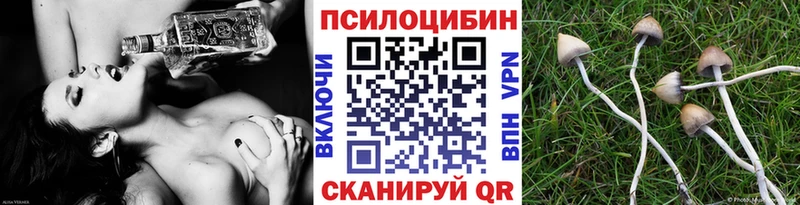 нарко площадка официальный сайт  Уфа  Галлюциногенные грибы мухоморы  купить наркотики сайты 