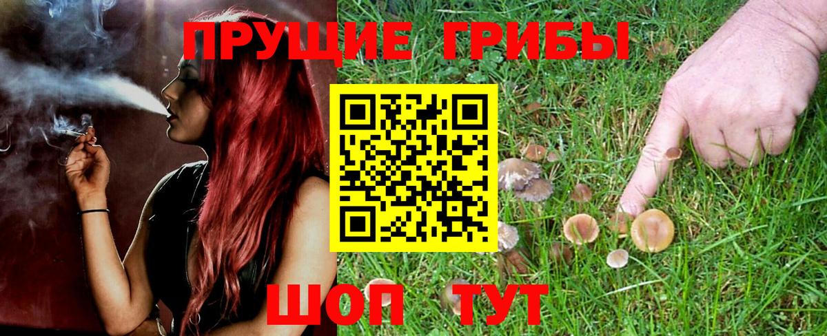 Уфа  Псилоцибиновые грибы ЛСД  Галлюциногенные грибы Cubensis  что такое   Вход с VPN 
