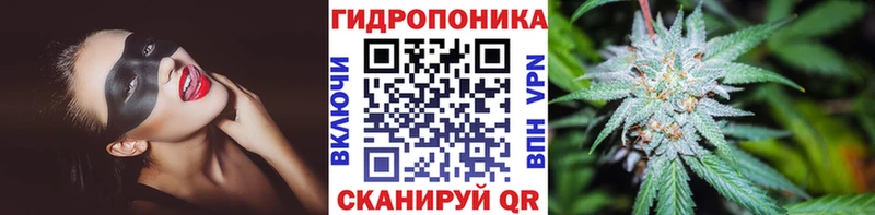 хочу наркоту  Уфа  МАРИХУАНА конопля 